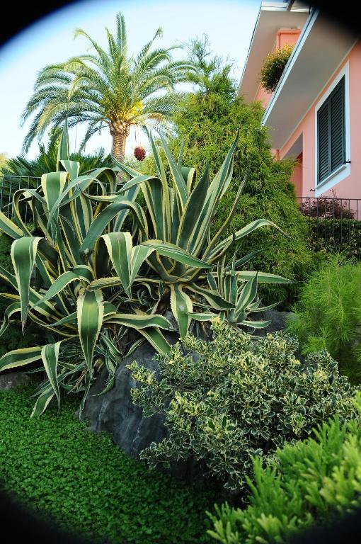 Residence La Cycas Villammare Bagian luar foto